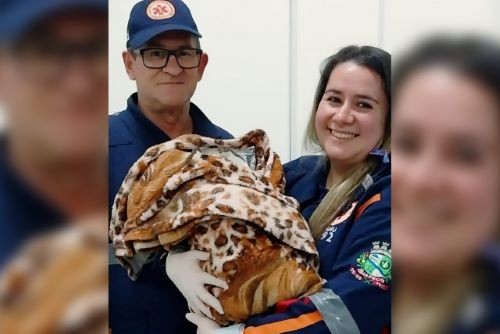 Técnica de enfermagem e motorista do SAMU realizam parto em ambulância a caminho do hospital