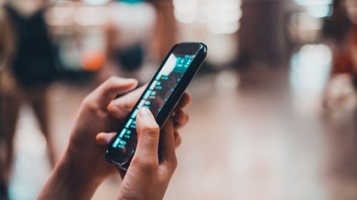 Santa Catarina lidera número de golpes pela internet, mostra Anuário de Segurança