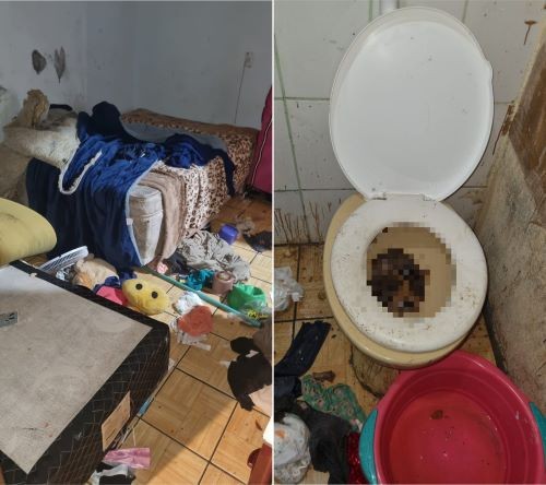 Mãe é presa por abandonar crianças em ambiente sem higiene e comida