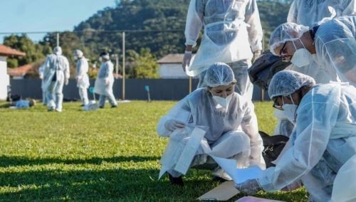 Cerca de 100 agentes de perícia criminal concursados são chamados para atuar em SC