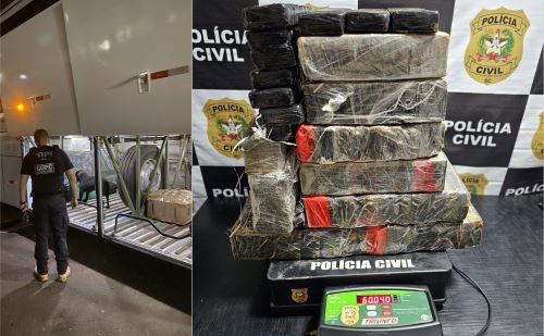 Polícia Civil apreende 60 kg de maconha na Rodoviária de Maravilha