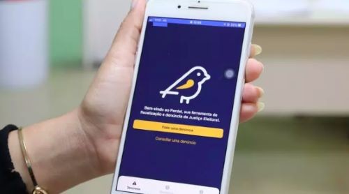 Pardal: SC já registra mais de 430 denúncias eleitorais; confira as cidades com mais casos