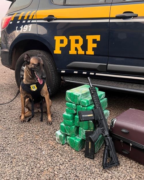 PRF apreende maconha, fuzil e munições com menor de idade na BR-480, Oeste de SC
