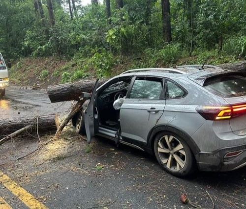 Árvore cai sobre carro durante forte tempestade na BR-282 entre Pinhalzinho e Maravilha