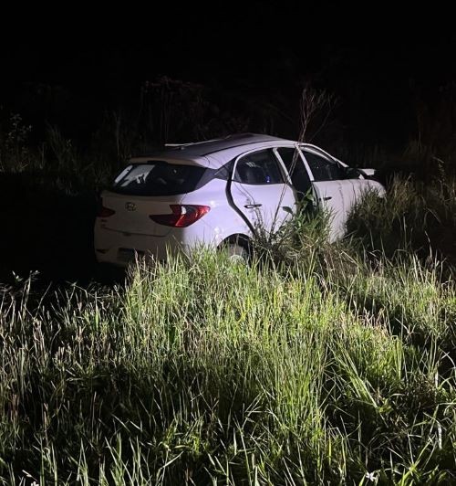 Cavalos morrem e dois ficam feridos após colisão com veículo na BR-470
