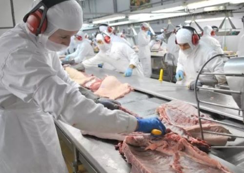 SC exporta 68 mil toneladas de carne suína em outubro e receitas chegam a quase R$ 1 bilhão