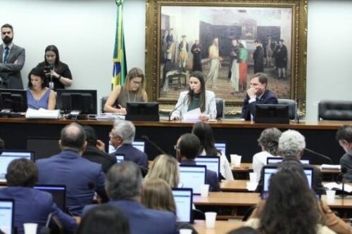 CCJ da Câmara aprova PEC que proíbe aborto no Brasil