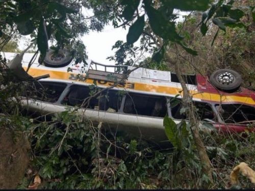 Ônibus que transportava moradores para Parque Memorial Quilombo dos Palmares capota deixando 17 mortos e 29 feridos