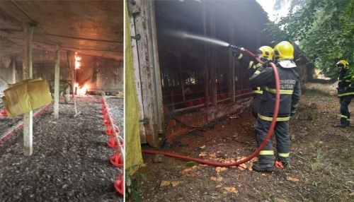 Incêndio em aviário mobiliza Bombeiros no Oeste