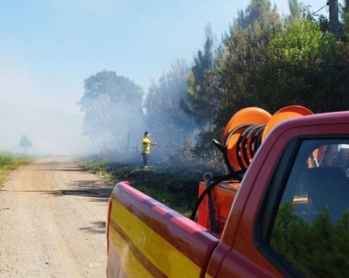 Bombeiros combatem incêndio em área de reflorestamento em Campos Novos