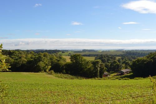 Agricultores de SC podem perder terras na fronteira se não regularizarem situação com União