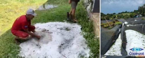 Chuva torrencial com granizo causa danos em plantações no interior de Capinzal