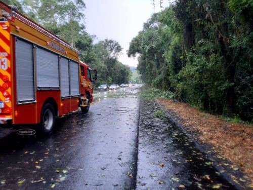 Queda de árvores bloqueia BR-282 e mobiliza Bombeiros em Maravilha