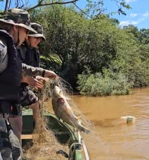 Polícia Ambiental divulga balanço da Operação Piracema 2024/2025