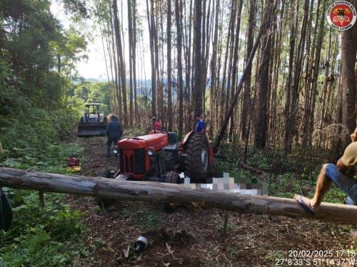 Idoso morre após ser atingido por árvore em Santa Catarina