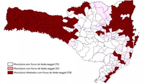 Mais de 60% dos municípios de SC estão infestados pelo mosquito Aedes aegypti