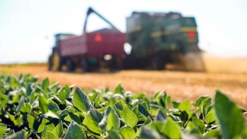 Plano Safra: entidades do agronegócio pedem previsibilidade e mais recursos