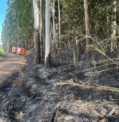Bombeiros combatem incêndio em vegetação no interior de Cunha Porã