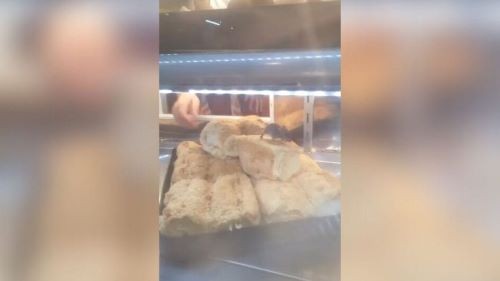 Cliente flagra rato dentro de vitrine de padaria em mercado de cidade de SC