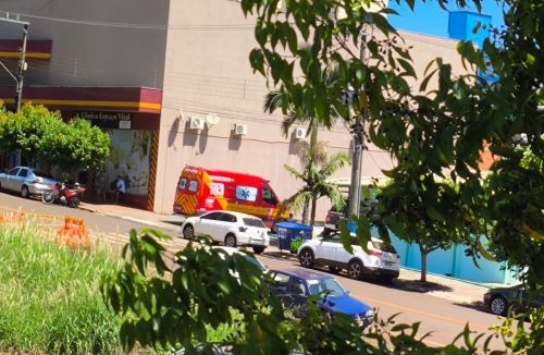 Ataque de abelhas fere 25 pessoas durante trilha ecológica em Cunha Porã