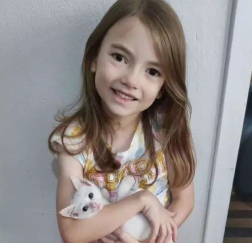 Desaparecimento de menina de oito anos mobiliza autoridades e comunidade em SC
