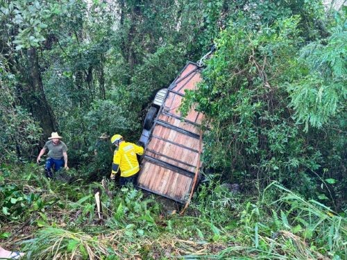 Cavalos ficam feridos após trailer desprender de camionete e cair em ribanceira na BR-282