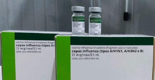 Vacinação contra a gripe começa nesta segunda-feira em SC; veja quem pode receber a dose