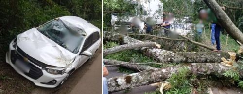 Árvore despenca sobre veículo e homem fica preso às ferragens em rodovia de SC