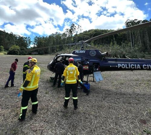 Homem de 62 anos fica gravemente ferido após queda de árvore em Cunha Porã