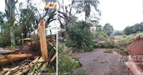 Forte temporal tinge Chapecó na madrugada deste sábado e causa estragos