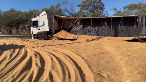 Carreta tomba na BR-282 e carga de farelo se espalha na pista