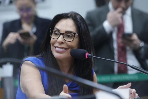 Projeto do Luto Materno, de autoria da deputada Geovania de Sá, é sancionado pelo presidente da República