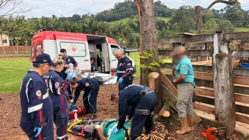 Idoso é socorrido em estado grave após ser atingido por árvore no Oeste