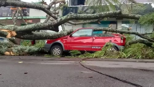 Vendaval devasta o Oeste gaúcho e Defesa Civil emite alerta extremo no RS