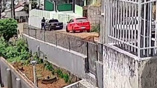 Onça-parda é flagrada circulando pelas ruas e assusta morador em cidade de SC