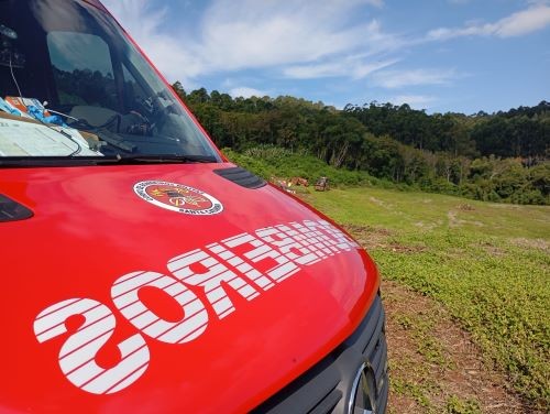 Homem morre após ser atingido por raiz de árvore enquanto cortava lenha em Cunha Porã