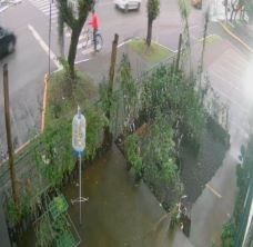 Idoso morre após ser atropelado por caminhão enquanto atravessava na faixa de pedestres em Maravilha