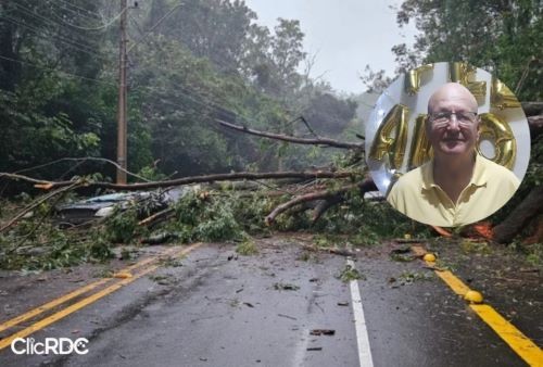 Árvore cai sobre carro e mata idoso de 72 anos no RS