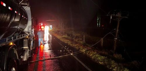 Vendaval provoca queda de árvores, poste e destelhamentos em Descanso