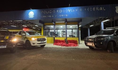 Maconha escondida em pneus: ação integrada apreende mais de meia tonelada no Oeste