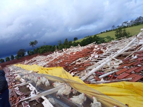 Dois aviários são destruídos por temporal no Oeste catarinense