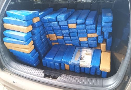 300 kg de drogas apreendidas na região de Pinhalzinho e Serra Alta são incineradas pela Polícia Civil