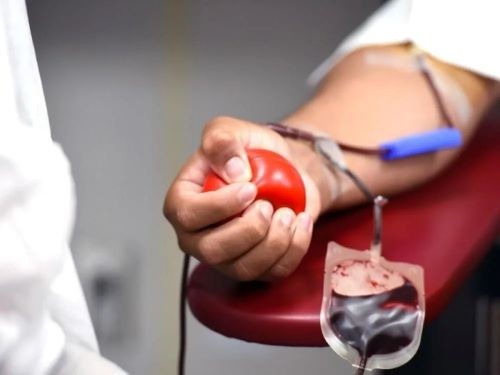 Hemosc inicia projeto de filtração universal do sangue para reduzir reação em transfusões