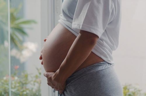 Justiça catarinense determina que SUS realize fertilização in vitro para paciente do Oeste