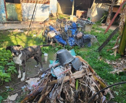 Mulher é presa após se mudar e abandonar cachorro em propriedade