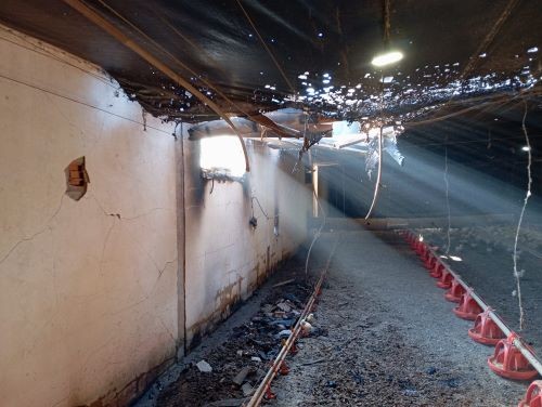 Incêndio danifica aviário e gera prejuízo no Oeste de SC