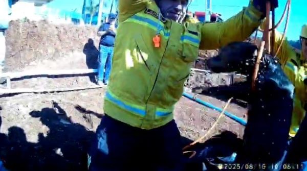Bombeiros resgatam cadela que caiu em buraco de 5 metros no Oeste