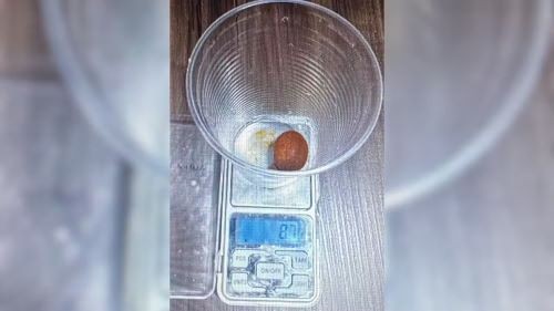 Funcionário de frigorífico em MG é preso por furtar pedras de cálculo biliar de boi; uma delas vale R$ 78 mil