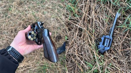 Polícia Civil apreende arma de fogo, munições e equipamentos utilizados em rinhas de galo em São Domingos