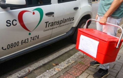 SC registra quase mil transplantes de órgãos em 2025; veja quem pode ser doador